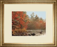 Foggy River Framed Wall Art