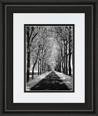 Follow Me Black and White Framed Wall Art