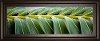 Clearance Up Close Green Palma I Framed Wall Art