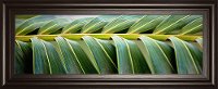 Up Close Green Palma I Framed Wall Art