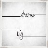 Clearance Dream Big Elegant Script Framed Wall Art