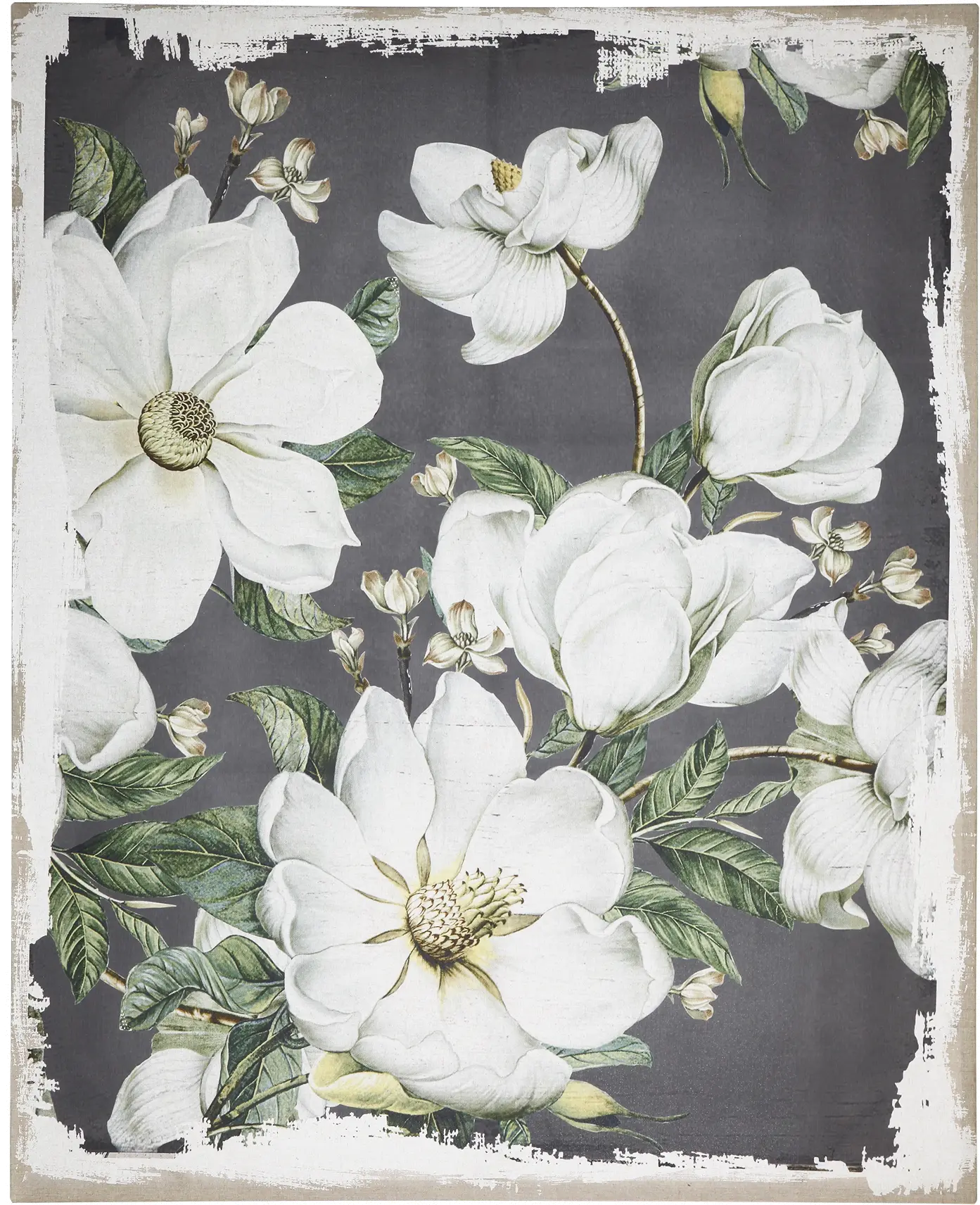 Magnolia Blooms Canvas Wall Art-1