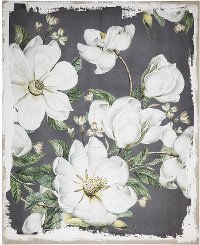 Magnolia Blooms Canvas Wall Art
