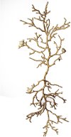 Branch Wall Decor with Perched Birds