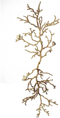 Branch Wall Decor with Perched Birds