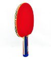 Fold Up Ping Pong Table-2