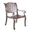 Brown Patio Chair and Cushion - Castle Rock-2