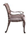 Brown Patio Chair and Cushion - Castle Rock-3