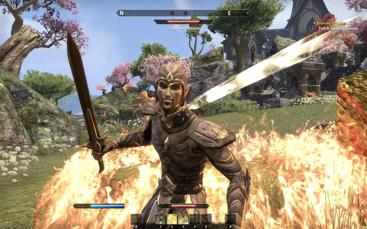 SWI HACPAF3CA The Elder Scrolls V: Skyrim - Nintendo Switch-3