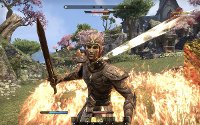 SWI HACPAF3CA The Elder Scrolls V: Skyrim - Nintendo Switch-3