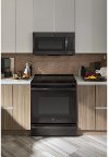 PVM9179BLTS GE Profile Series 1.7 Cu. Ft. Convection Over-the-Range Microwave Oven-4