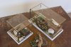 Clearance Square Antique Brass Glass Display Box On A Marble Base