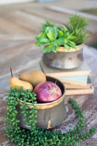 7 Inch Zinc Planter with Brass Trim