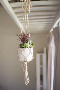 Hanging Macrame Potted Succulent Arrangement
