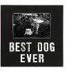 9 Inch Black Best Dog Ever MDF Picture Frame