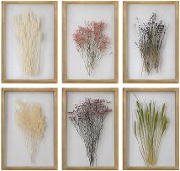 Assorted Preserved Blossoms Wall Art