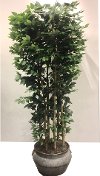 Faux 8 Foot Giant Clipped Ficus Tree Arrangement