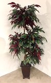 7 Foot Red Back Four Head Mango Tree Arrangement