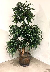 7 Foot Mango Ladder Tree Arrangement