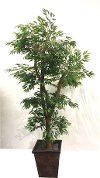 Clearance 7 Foot Layered Green Ruscus Tree Arrangement