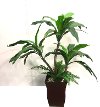 14000B 4 Foot Bird Nest Palm Tree with Rocks Arrangement