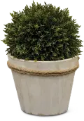 9 Inch Boxwood Ball Faux Arrangement