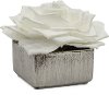Clearance 7 Inch White Storybook Arrangement In Silver Pot