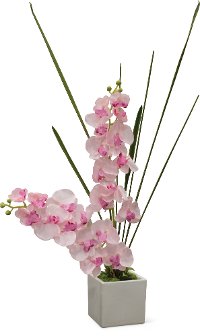36 Inch Pink Orchid Arrangement