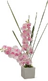 Clearance 36 Inch Pink Orchid Arrangement