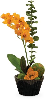 34 Inch Orange Orchids Arrangement With Moss Balls