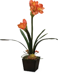 26 Inch Coral Amaryllis Faux Arrangement