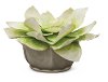 White Jumbo Floral Arrangement