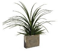 25 Inch Grass Mix Arrangement In Silver Pot