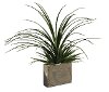 Clearance 25 Inch Grass Mix Arrangement In Silver Pot