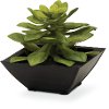 8 Inch Succulent Arrangement In Square Pot