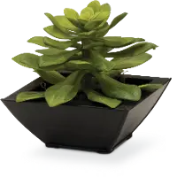Faux 8 Inch Succulent Arrangement In Square Pot