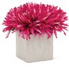 7 Inch Pink Flower Arrangement In White Cube