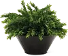 Clearance 12 Inch Faux Boxwood Arrangement