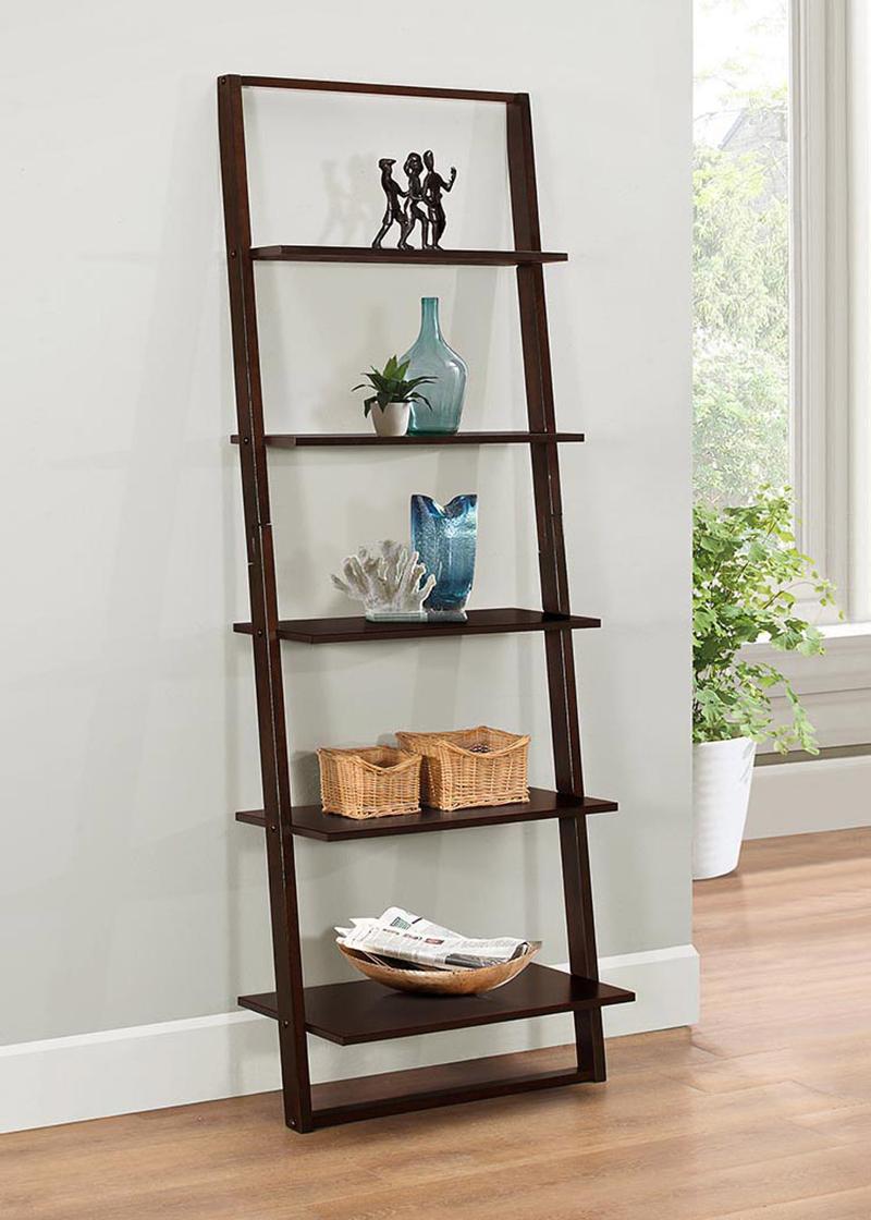 Cappuccino Brown Wall Ladder Bookcase, Wall Bookcase With Ladder