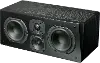 PRIME CENTER BLACK ASH/EACH SVS Prime Center Speaker - Black Ash
