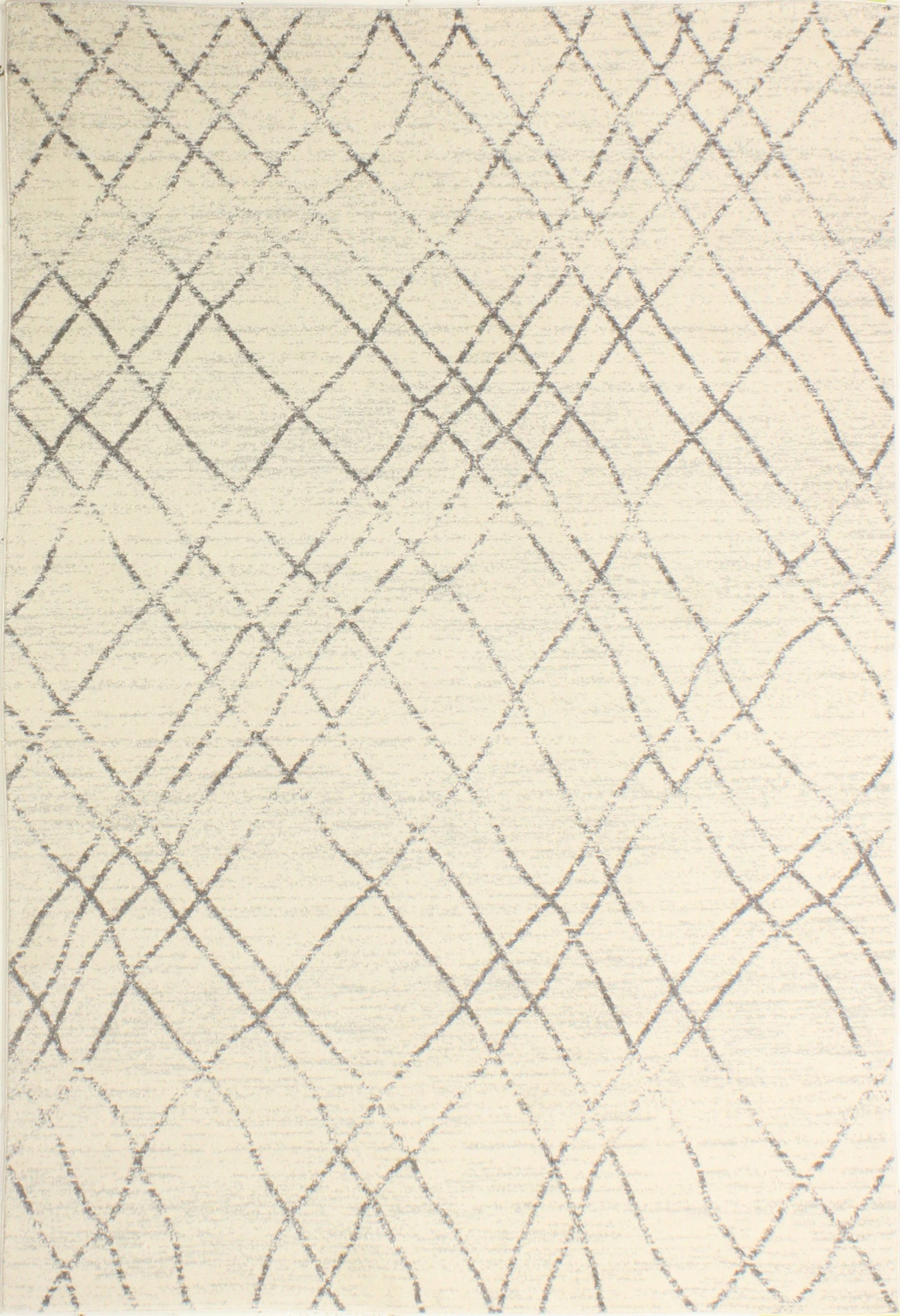 4 x 6 Small Ivory and Gray Area Rug - Everek-3