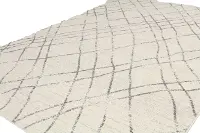 5 x 8 Medium Ivory and Gray Area Rug - Everek