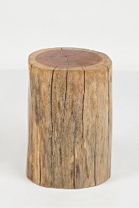 Hardwood Stump Accent Table - Global Archive