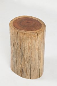 Hardwood Stump Accent Table - Global Archive-2