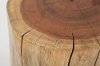 Hardwood Stump Accent Table - Global Archive-3