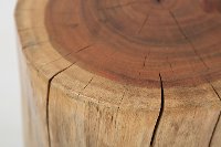 Hardwood Stump Accent Table - Global Archive-3