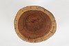 Hardwood Stump Accent Table - Global Archive-4