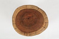 Hardwood Stump Accent Table - Global Archive-4