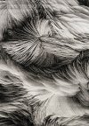 5 x 8 Medium Gray & Black Distressed Area Rug - Platinum-1
