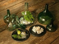 7 Inch Glass Demijohn Cloche